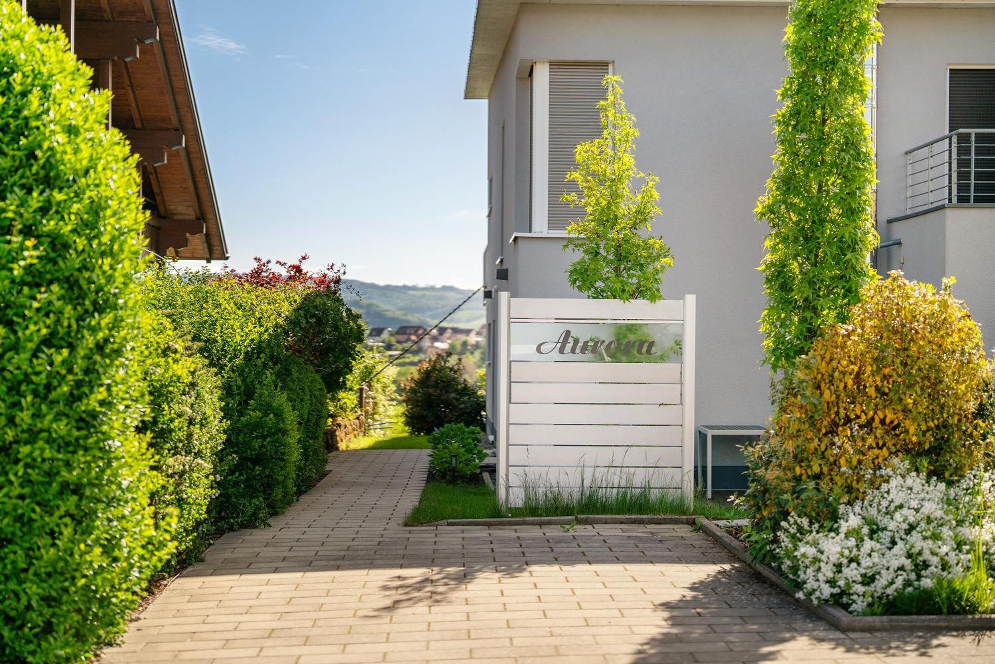Wohlfuehlhaus Apartment Freiamt Екстериор снимка