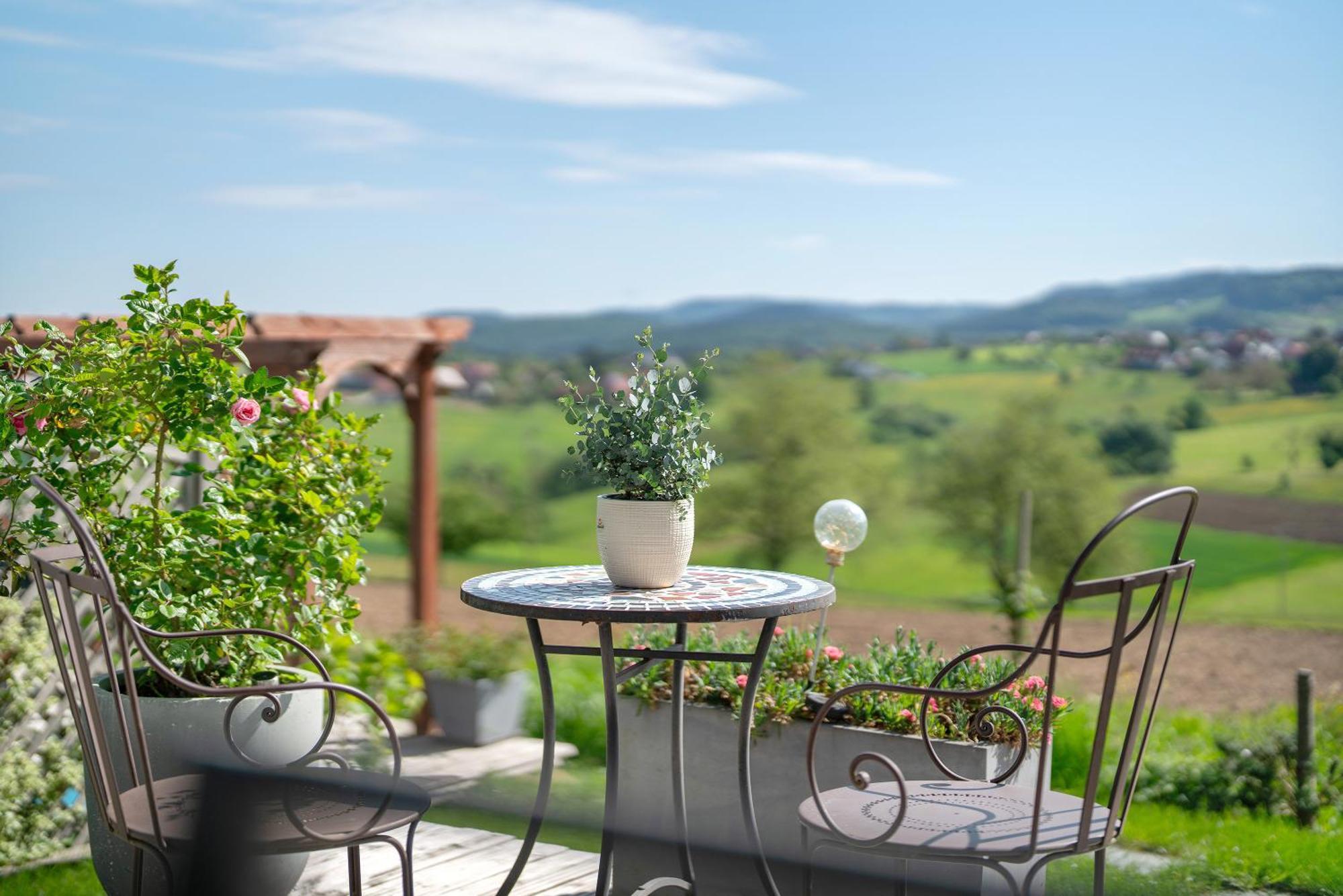 Wohlfuehlhaus Apartment Freiamt Екстериор снимка